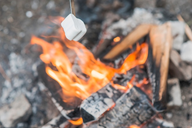 Top view marshmallow on bonfire flames