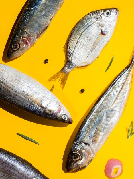 Top view mix of fresh fish with condiments