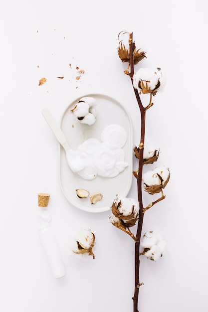 Free photo top view of moisturizing cream and cotton twig on white background