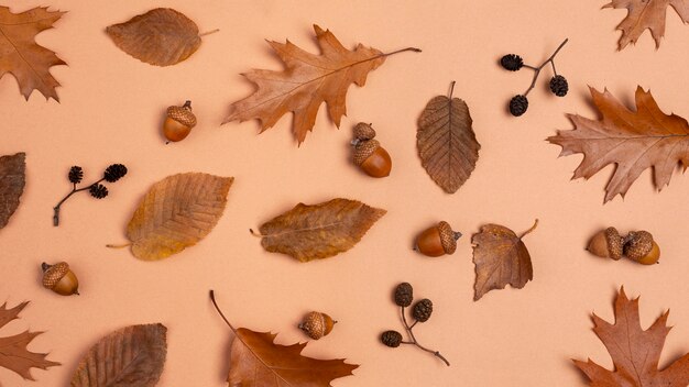 Top view of monochromatic assortment of leaves