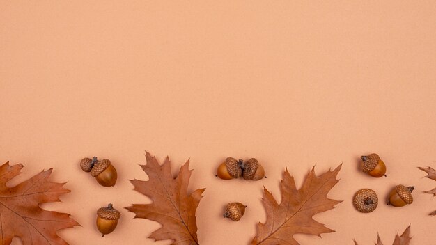 Top view of monochromatic leaves with copy space