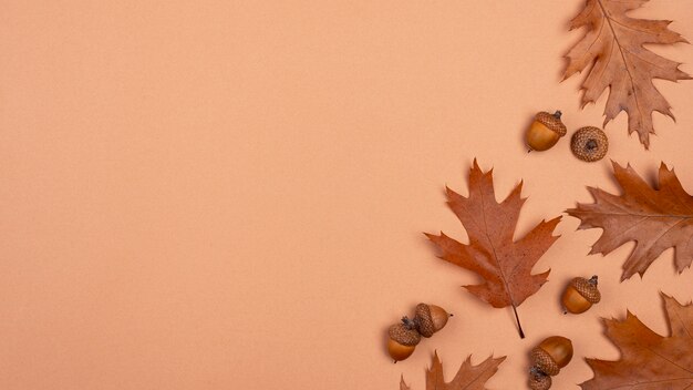 Top view of monochromatic leaves with copy space