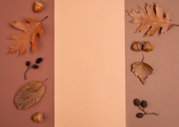 Top view of monochromatic variety of leaves with copy space