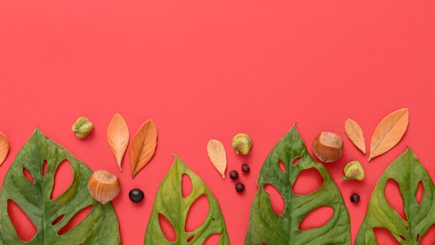 Top view of multicolored autumn leaves and copy space