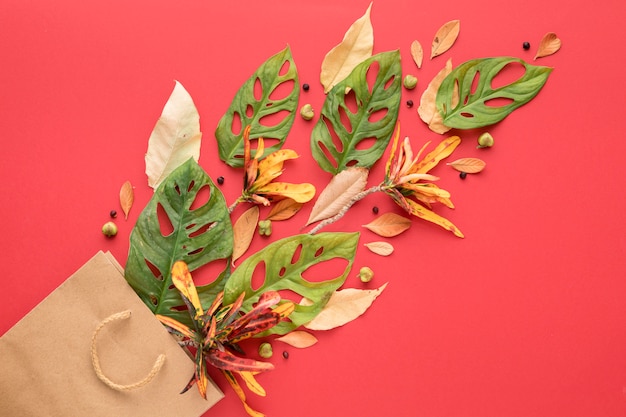 Top view of multicolored autumn leaves and paper bag