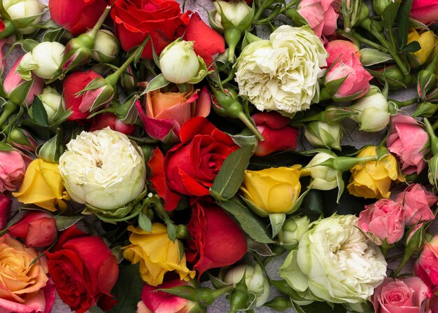 Top view of multicolored flowers