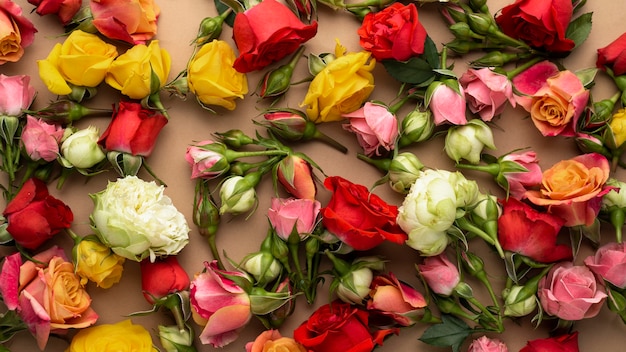 Top view of multicolored flowers