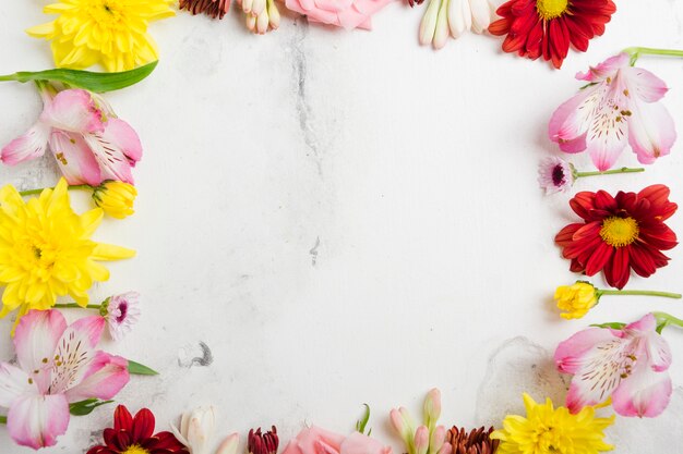 Top view of multicolored spring flower frame