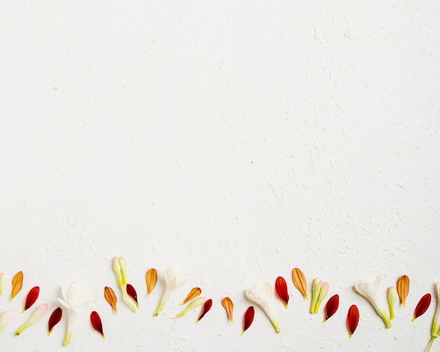 Top view of multicolored spring leaves with copy space