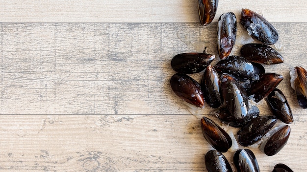 Top view mussel shells with copy space