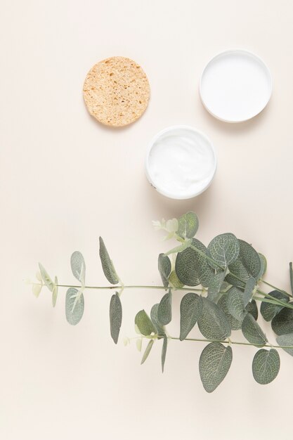 Top view of natural body butter and leaves on plain background