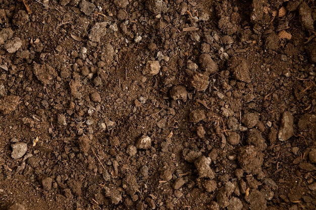 Top view natural soil