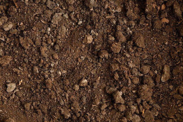 Top view natural soil