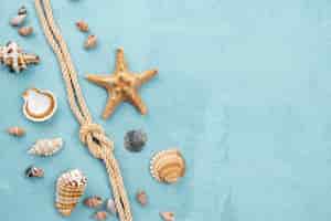 Бесплатное фото Вид сверху морская веревка с моллюсками