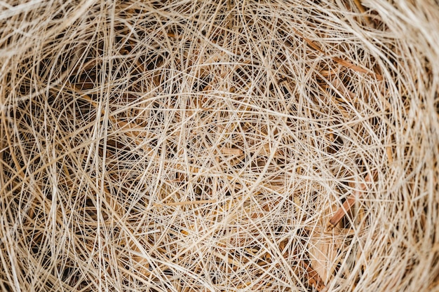 Top view nest background