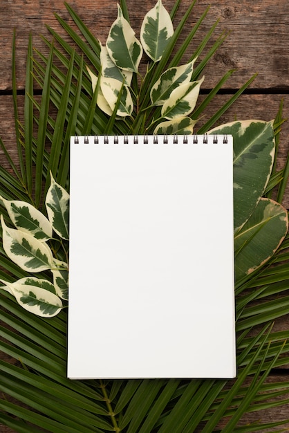 Top view of notebook on plant leaves