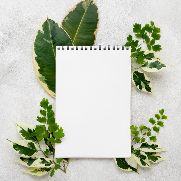 Top view of notebook with beautiful plant leaves