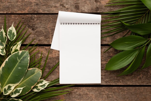 Top view of notebook with beautiful plant leaves