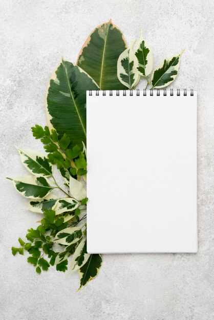 Top view of notebook with different plant leaves