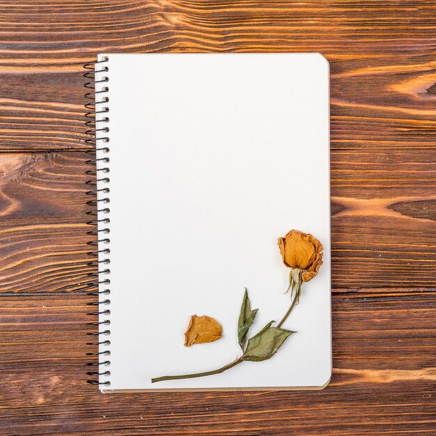 Top view notebook with dry flower on top