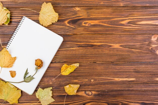 Top view notebook with flower and autumn leaves
