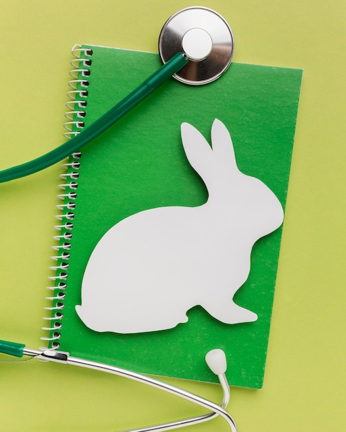 Top view of notebook with paper bunny and stethoscope for animal day