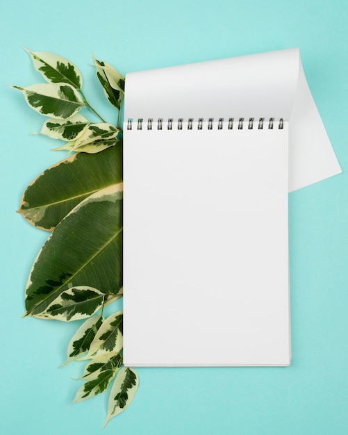 Free photo top view of notebook with plant leaves