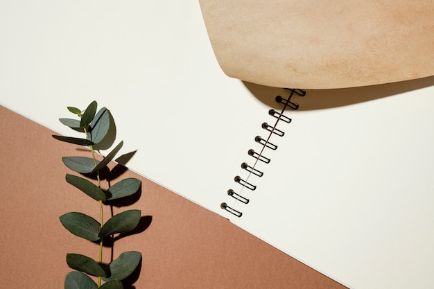 Top view of notebook with plant