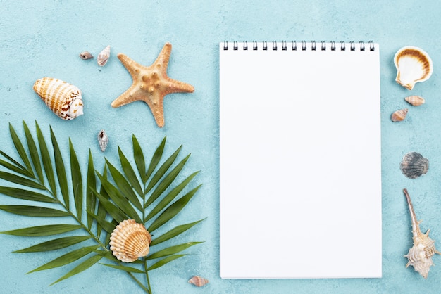 Top view notebook with shells beside