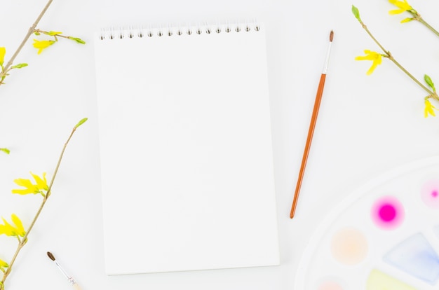 Top view notebook with watercolor and branch