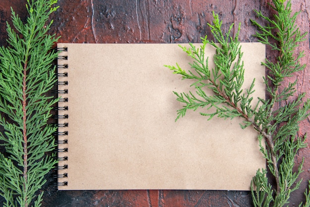 Top view a notepad pine tree branches on dark red background