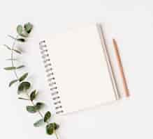 Free photo top view notepad with green leafs concept