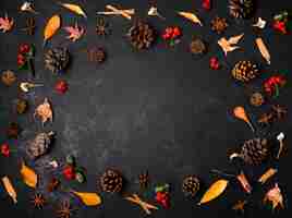無料写真 松ぼっくりと葉を持つ秋の要素のトップビュー