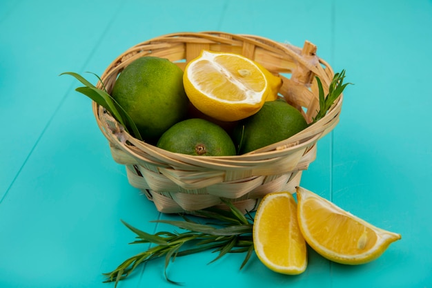 Вид сверху зеленых и желтых лимонов с зеленым и свежим эстрагоном на ведре на синей поверхности