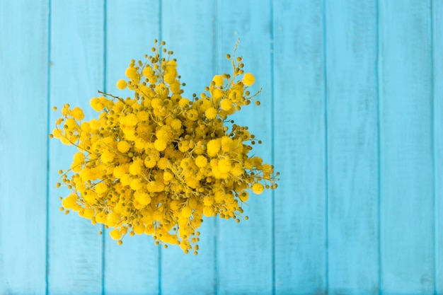 Бесплатное фото Вид сверху желтых цветов с синим фоном
