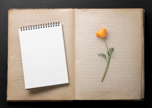 Foto gratuita vecchio libro braille vista dall'alto con fiore