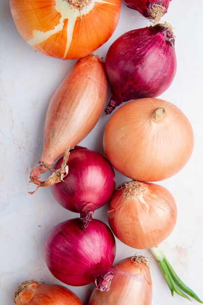 Top view of onions on white background