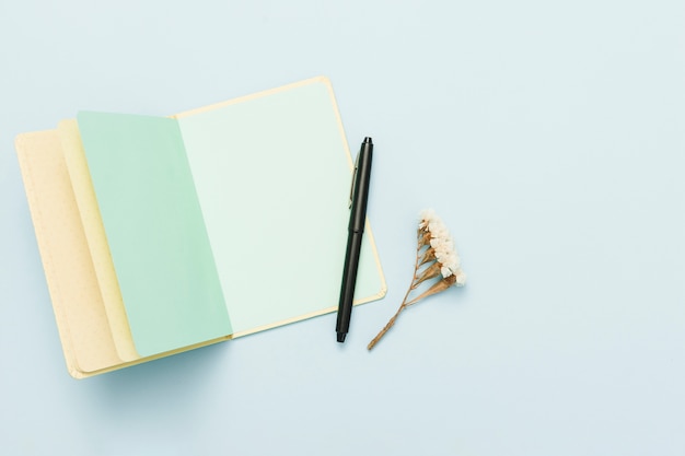 Top view of open book with a pen