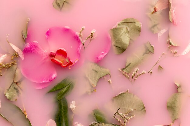 ピンク色の水のトップビューの蘭の花とバラ