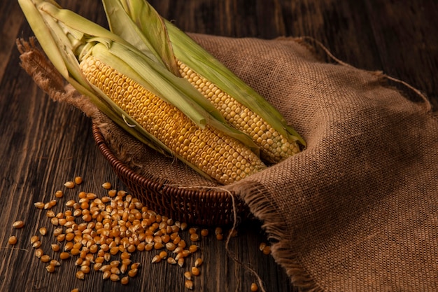 Top view of organic fresh corns with hair on a sack cloth bucket with kernels isolated on a wooden table