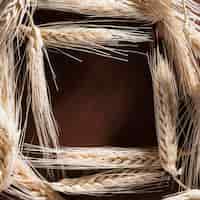 Бесплатное фото Вид сверху органическая пшеница с копией пространства