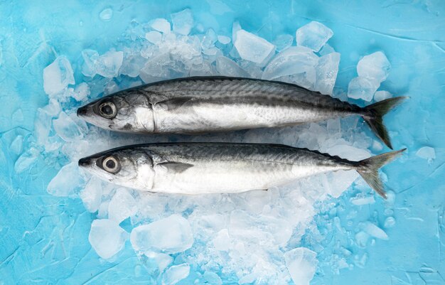 Top view of pair of fish with ice
