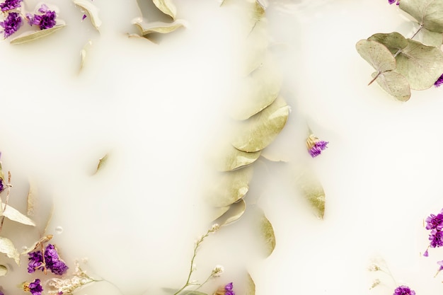 하얀 물에 상위 뷰 창백한 나뭇잎과 보라색 꽃
