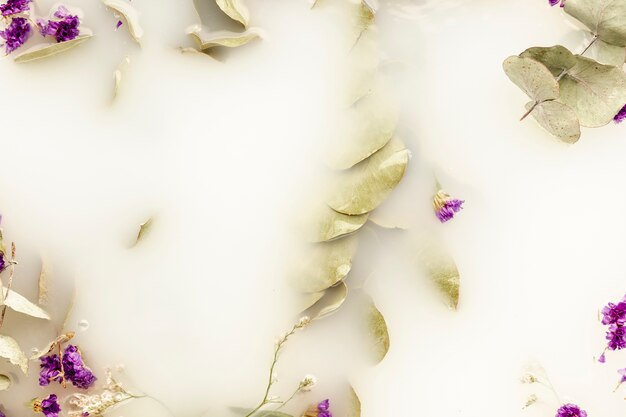 Вид сверху бледные листья и фиолетовые цветы в белой воде