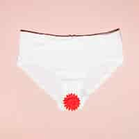 Free photo top view panties with paper flower