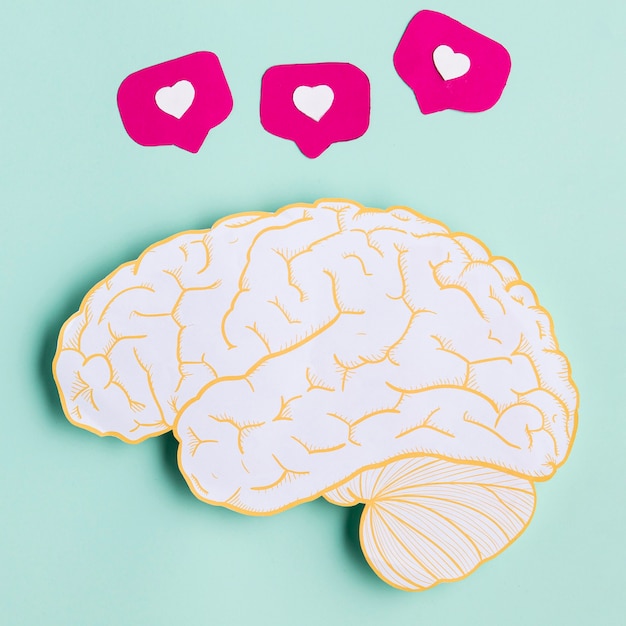 Free photo top view paper brain shape