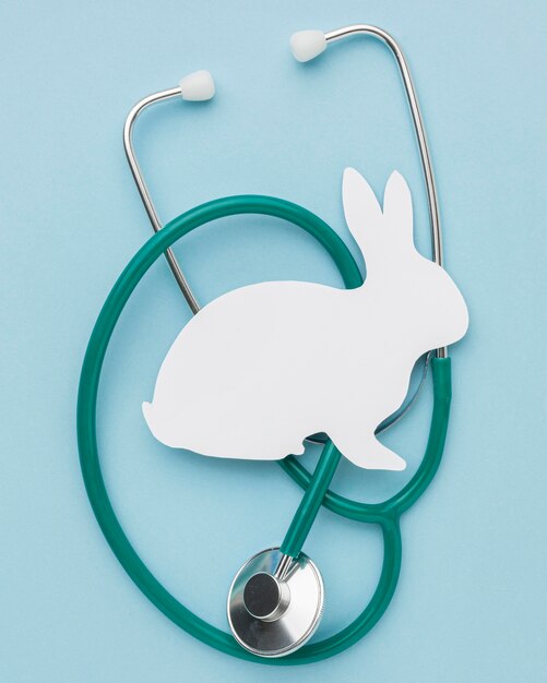 Top view of paper bunny with stethoscope for animal day