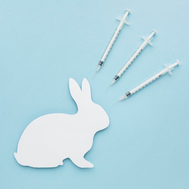 Top view of paper bunny with syringes for animal day