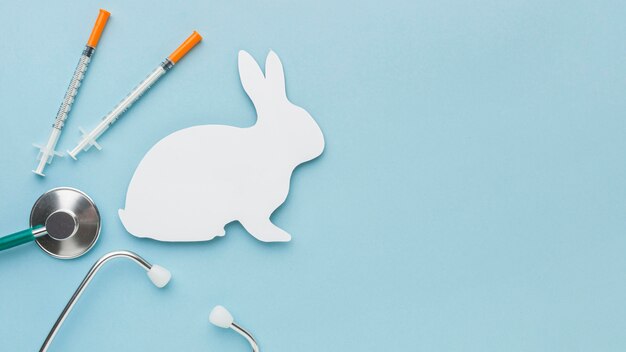 Вид сверху бумажного кролика со шприцами и стетоскопом на день животных