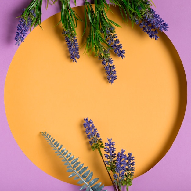 Top view paper circle with lavender beside